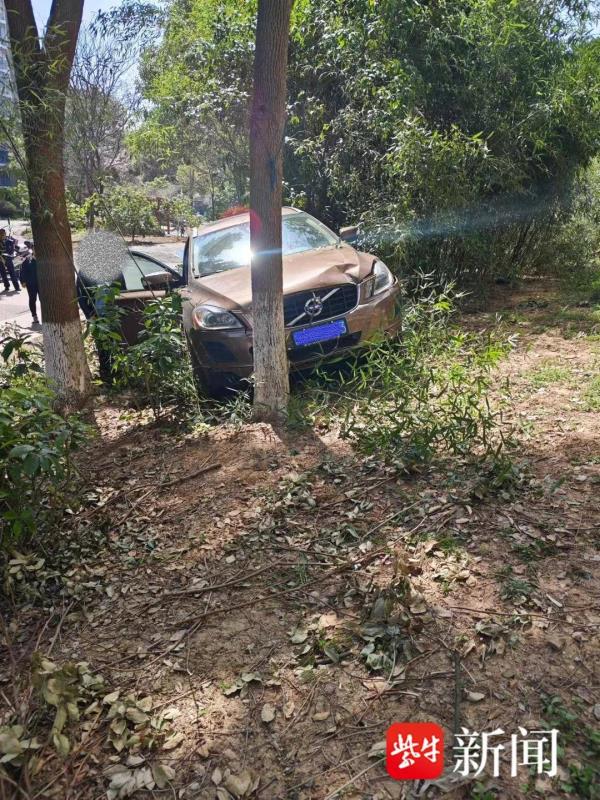 小区内过弯道猛踩油门，小轿车连撞两棵绿化树