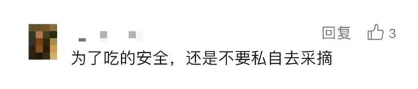 上海人最近迷上这事？还有人专门整理攻略！专家：有风险