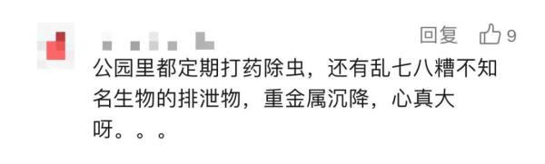 上海人最近迷上这事？还有人专门整理攻略！专家：有风险