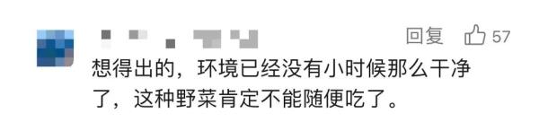上海这些人怎么了？带着剪刀进公园，还有人专门整理攻略！专家：有风险