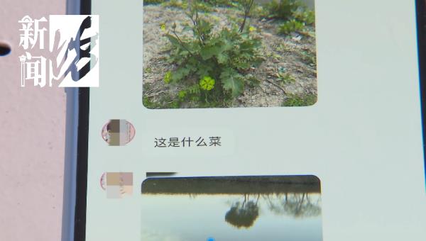 上海人最近迷上"打野"?有人呕心沥血整理攻略,专家:有风险 上海人最近迷上"打野"?有人呕心沥血整理攻略,专家:有风险