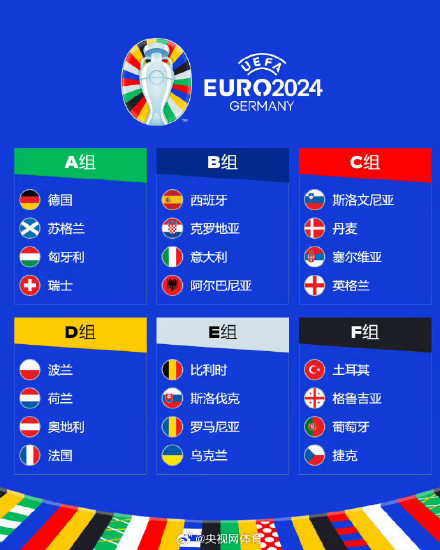 欧洲杯参赛球队出炉 欧洲杯参赛球队出炉