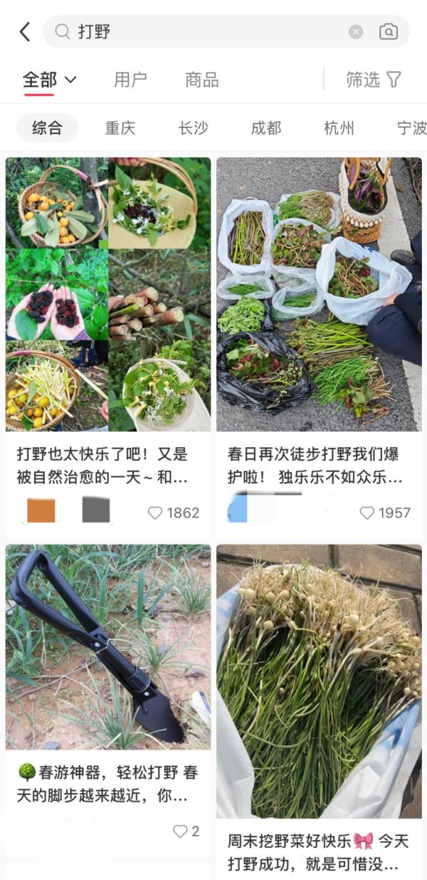 上海“打野”地图全网爆火，挖野菜成踏青首选？专家提醒：有风险！