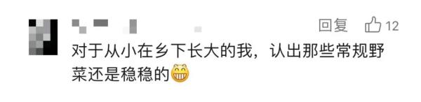 上海这些人怎么了？带着剪刀进公园，还有人专门整理攻略！专家：有风险