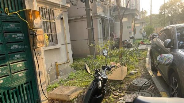 上海部分小区里,这类乱象开始冒头!居民:晚上密密麻麻,看着都害怕 上海部分小区里,这类乱象开始冒头!居民:晚上密密麻麻,看着都害怕