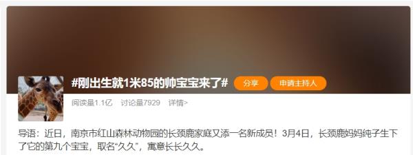 刚出生就1米85的帅宝宝来了！