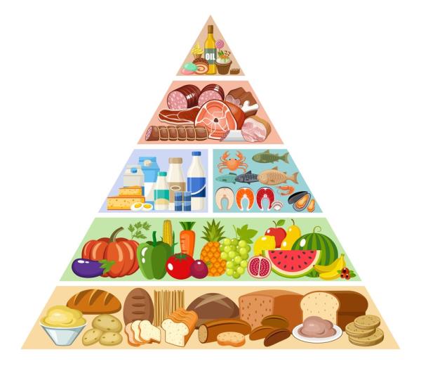 @各位家长，这里有一份春季长高“秘籍”~