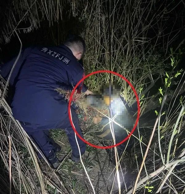 河面突现一圈细微水波纹,这一眼救了一条命 河面突现一圈细微水波纹,这一眼救了一条命