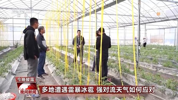 多地遭遇雷暴冰雹 本轮强对流天气威力为何如此大？如何应对？