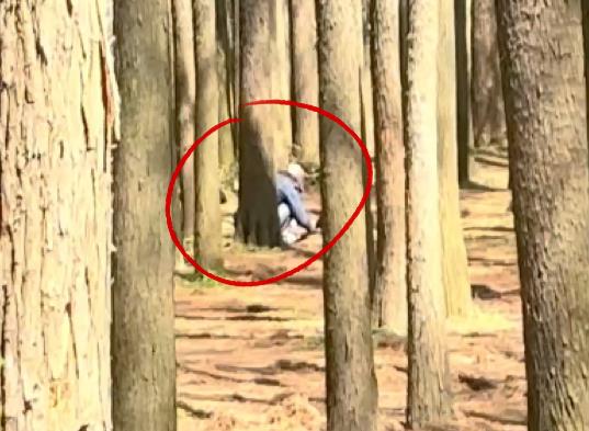 上海这些人怎么了？带着剪刀进公园，还有人专门整理攻略！专家：有风险