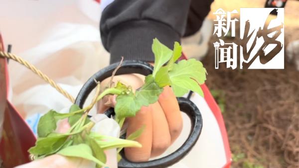 上海人最近迷上"打野"?有人呕心沥血整理攻略,专家:有风险 上海人最近迷上"打野"?有人呕心沥血整理攻略,专家:有风险
