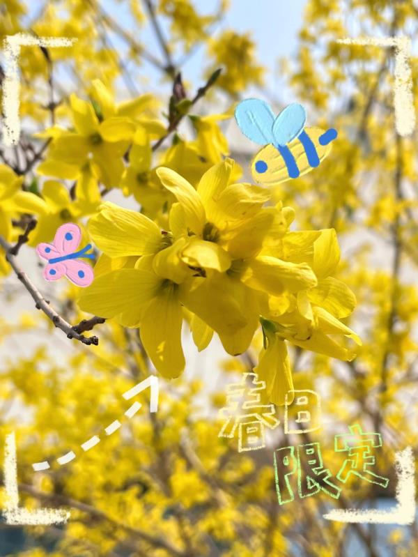 镜头下的北京科学中心 | 黄金满枝 镜头下的北京科学中心 | 黄金满枝