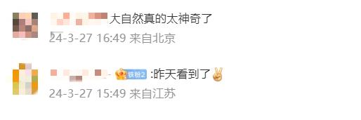 刚出生就1米85的帅宝宝来了！