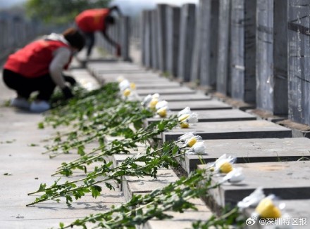 本周末起深圳将迎清明祭扫高峰，提醒：绿色出行，有免费交通服务可选择→