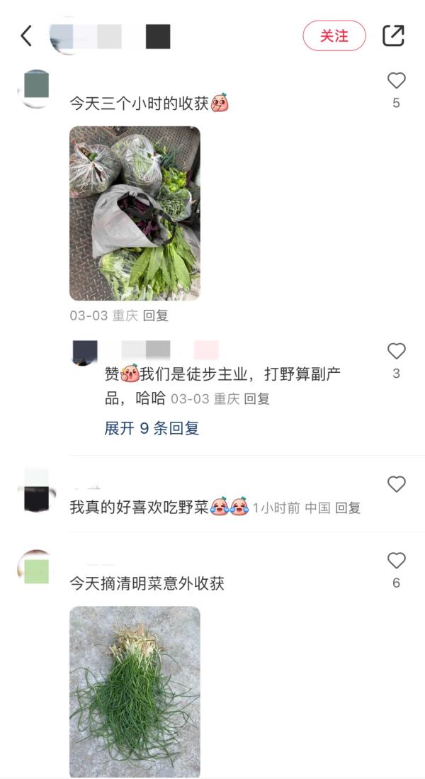 上海“打野”地图全网爆火，挖野菜成踏青首选？专家提醒：有风险！