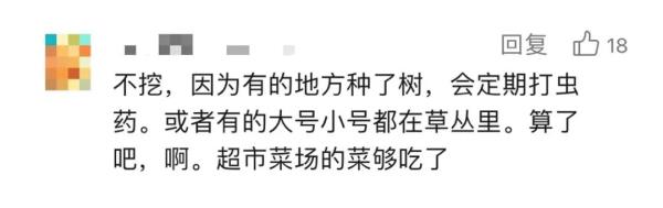 上海人最近迷上这事？还有人专门整理攻略！专家：有风险