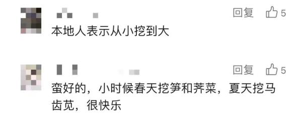 上海人最近迷上这事？还有人专门整理攻略！专家：有风险