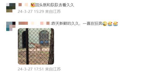 刚出生就1米85的帅宝宝来了！