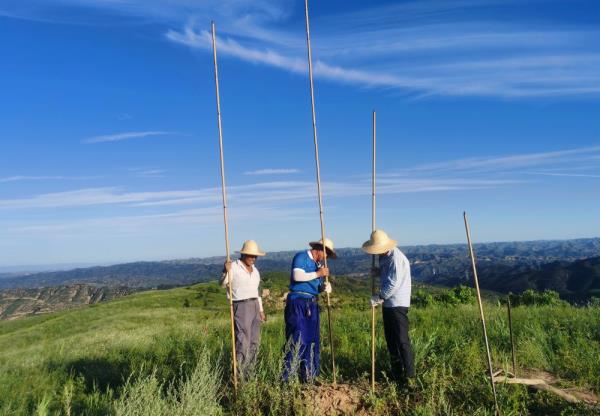 陕西清涧寨沟遗址