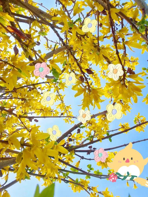 镜头下的北京科学中心 | 黄金满枝 镜头下的北京科学中心 | 黄金满枝