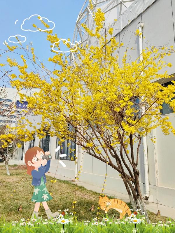 镜头下的北京科学中心 | 黄金满枝 镜头下的北京科学中心 | 黄金满枝