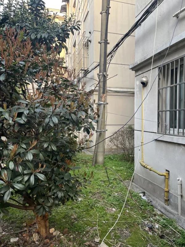 上海部分小区里,这类乱象开始冒头!居民:晚上密密麻麻,看着都害怕 上海部分小区里,这类乱象开始冒头!居民:晚上密密麻麻,看着都害怕