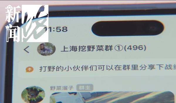 上海人最近迷上"打野"?有人呕心沥血整理攻略,专家:有风险 上海人最近迷上"打野"?有人呕心沥血整理攻略,专家:有风险