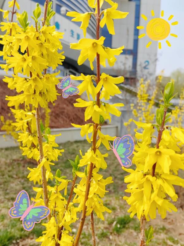 镜头下的北京科学中心 | 黄金满枝 镜头下的北京科学中心 | 黄金满枝