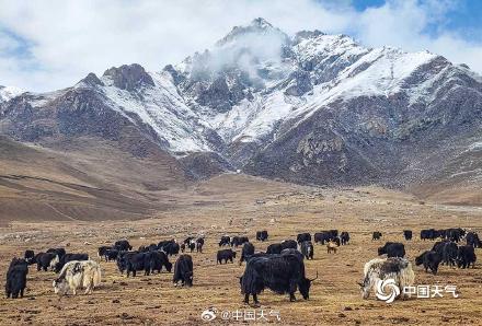 来感受一波青海雪域的震撼