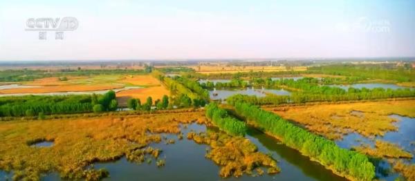 科技创新“护航”美丽中国建设 助力经济发展和环境保护实现“双赢”