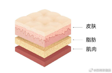 为什么肚子上的肉这么难减 为什么肚子上的肉这么难减