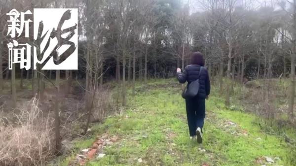 上海此地惊现暴躁鹿！不止一人遭攻击受伤！身份成谜