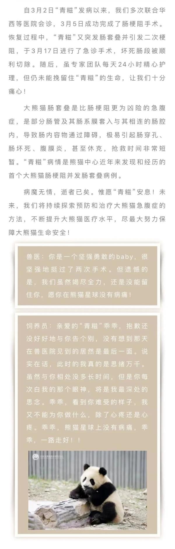 官方确认：“青糍”去世