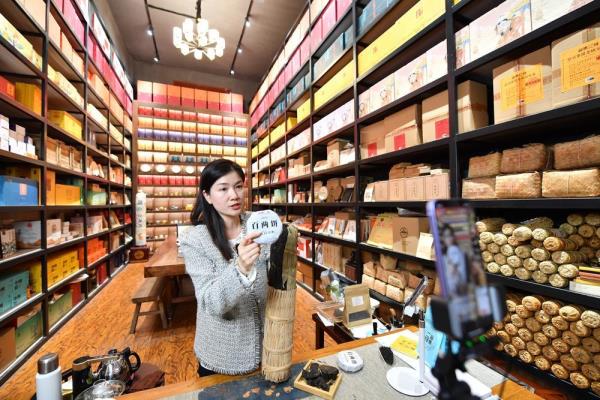 茶树下的乡村振兴路 茶树下的乡村振兴路