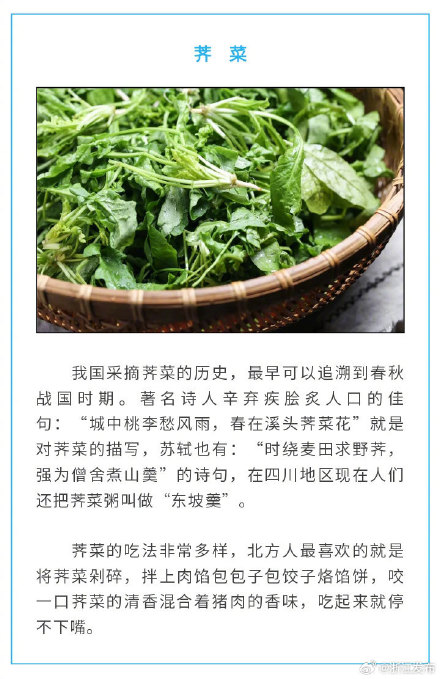 盘点春天的8种美味“芽菜”，你尝过了没？