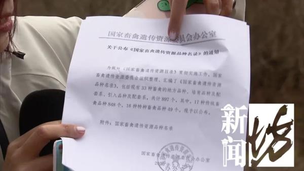 上海此地惊现暴躁鹿！不止一人遭攻击受伤！身份成谜