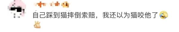 “男子被流浪猫绊倒致伤残,投喂者被判赔24万”,案件将提起再审! “男子被流浪猫绊倒致伤残,投喂者被判赔24万”,案件将提起再审!