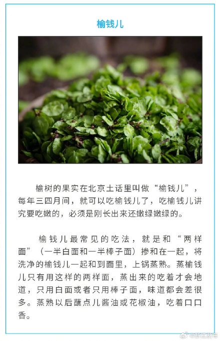 盘点春天的8种美味“芽菜”，你尝过了没？