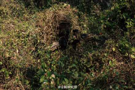 狙击手集训，压迫感满满！