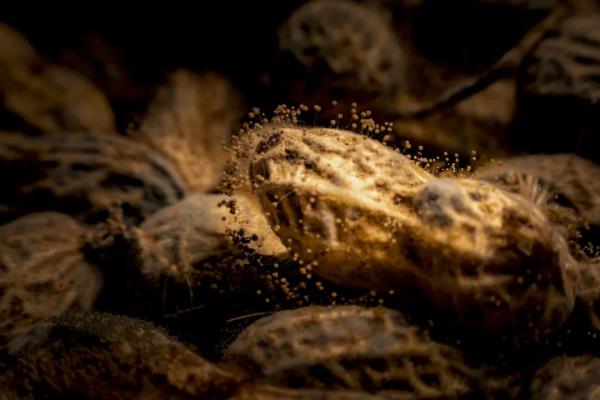 免疫力下降、致癌！你炒菜时的这个动作，正在威胁全家健康