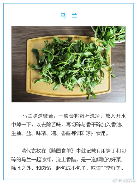 盘点春天的8种美味“芽菜”，你尝过了没？