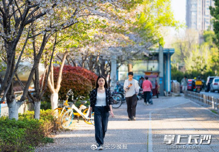 春日限定！被樱花包围的长沙最美地铁站