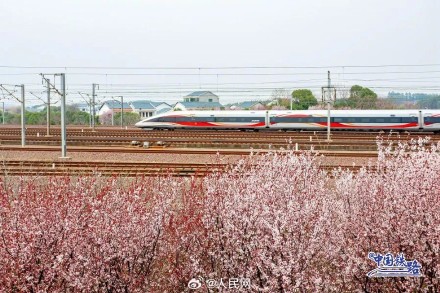 开往春天！春日花海与列车同框好浪漫