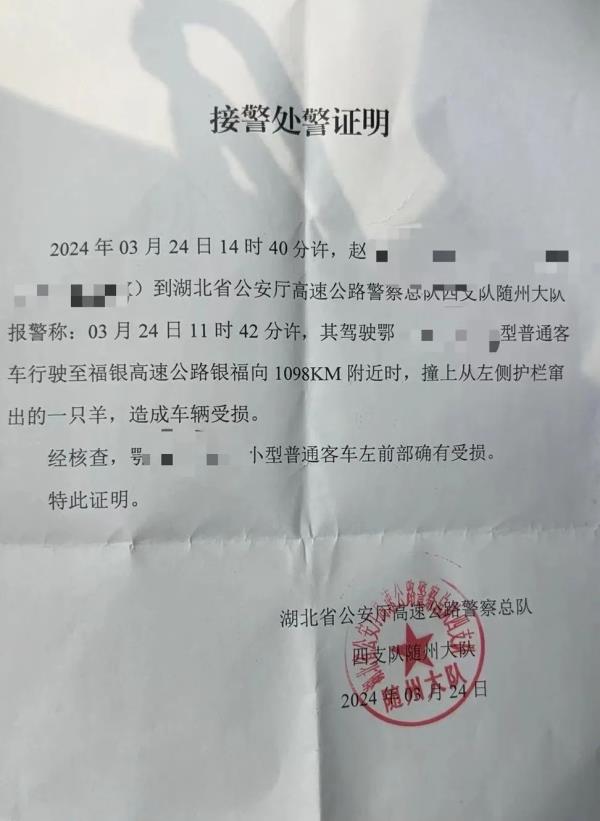 武汉一特斯拉高速上撞到突然窜出的羊，司机称损失上万，高速运营公司：管不住羊