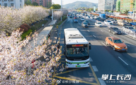 春日限定！被樱花包围的长沙最美地铁站