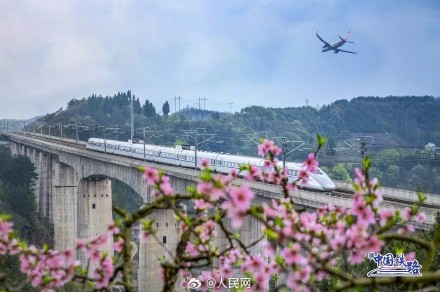 开往春天！春日花海与列车同框好浪漫
