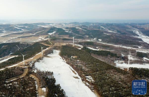 黑龙江最大风电场全面投运