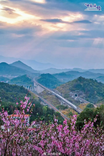 列车花海同框自带氛围感