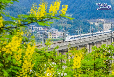 列车花海同框自带氛围感