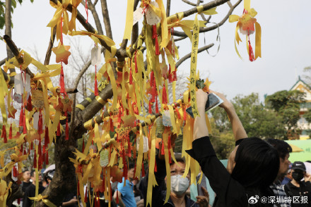 深圳首次推出花坛葬 深圳首次推出花坛葬